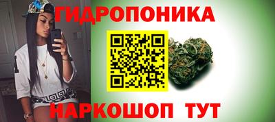 apvp Лесосибирск