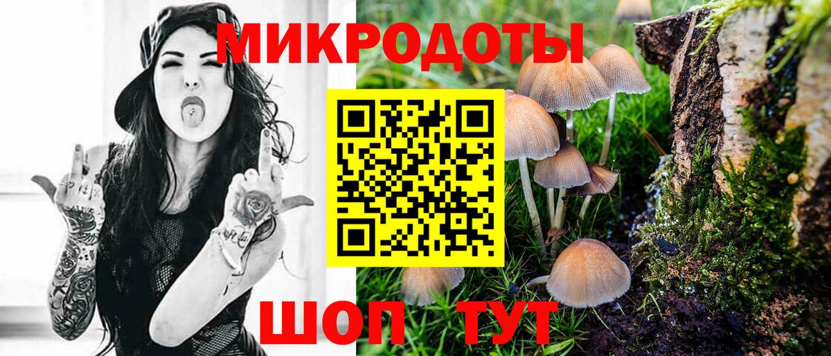 Псилоцибиновые грибы GOLDEN TEACHER Гатчина