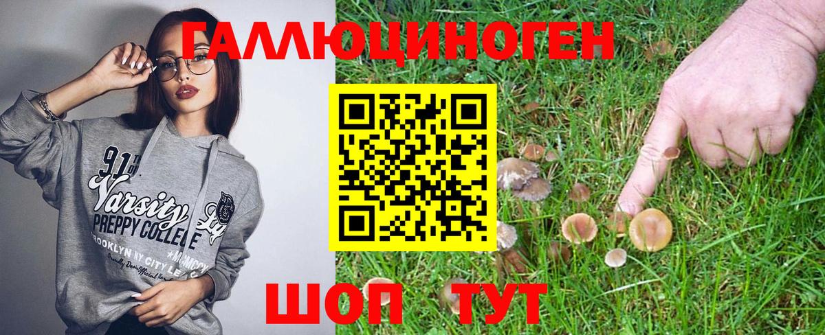 Гатчина  Галлюциногенные грибы MAGIC MUSHROOMS  Вход с VPN 